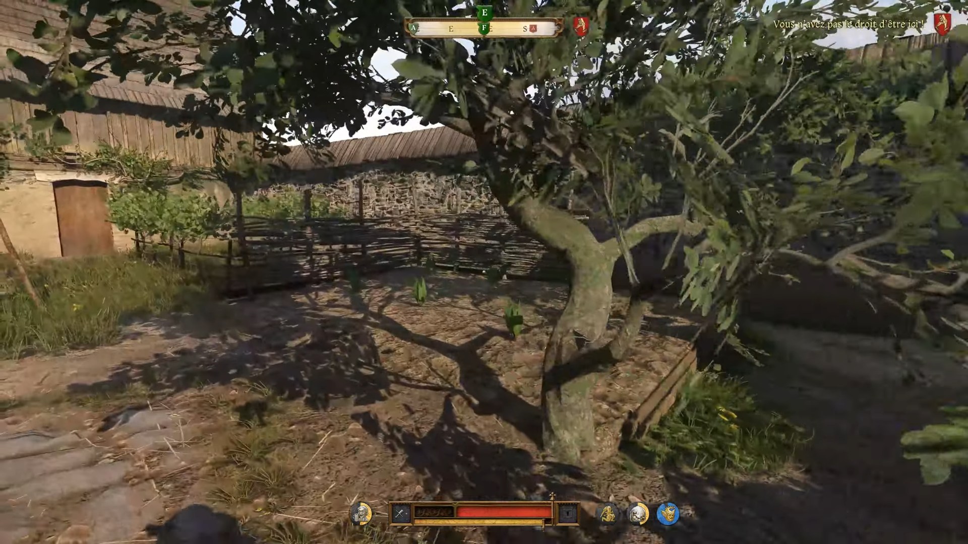kingdom-come-deliverance-2-quete-in-vino-veritas-semis