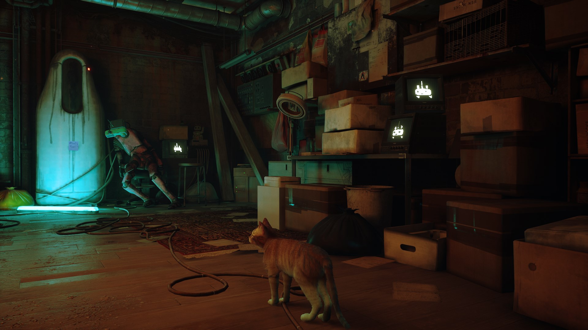 stray-univers-graphisme-test-avis-1