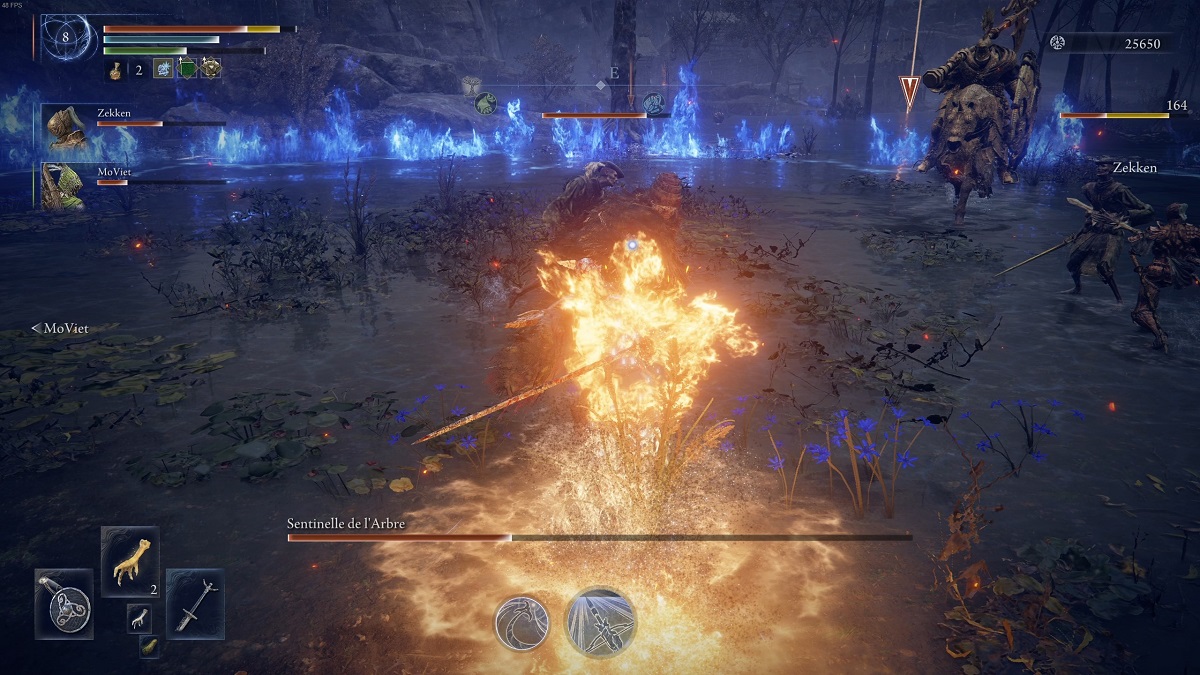 elden-ring-nightreign-duchesse