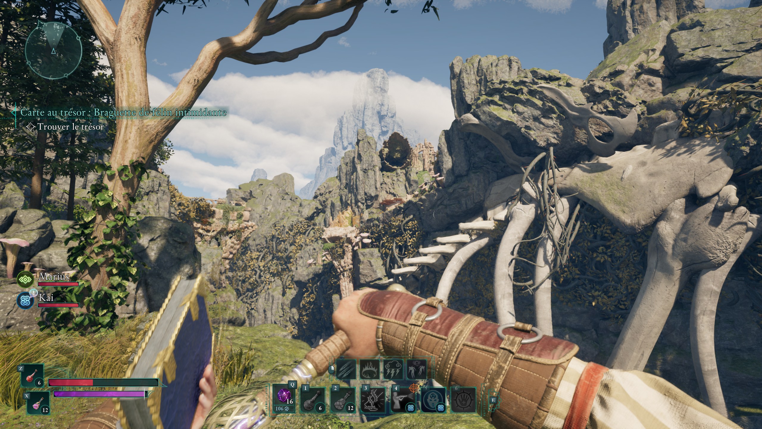 avowed-carte-au-tresor-braguette-de-felin-intimidante-point-de-repere