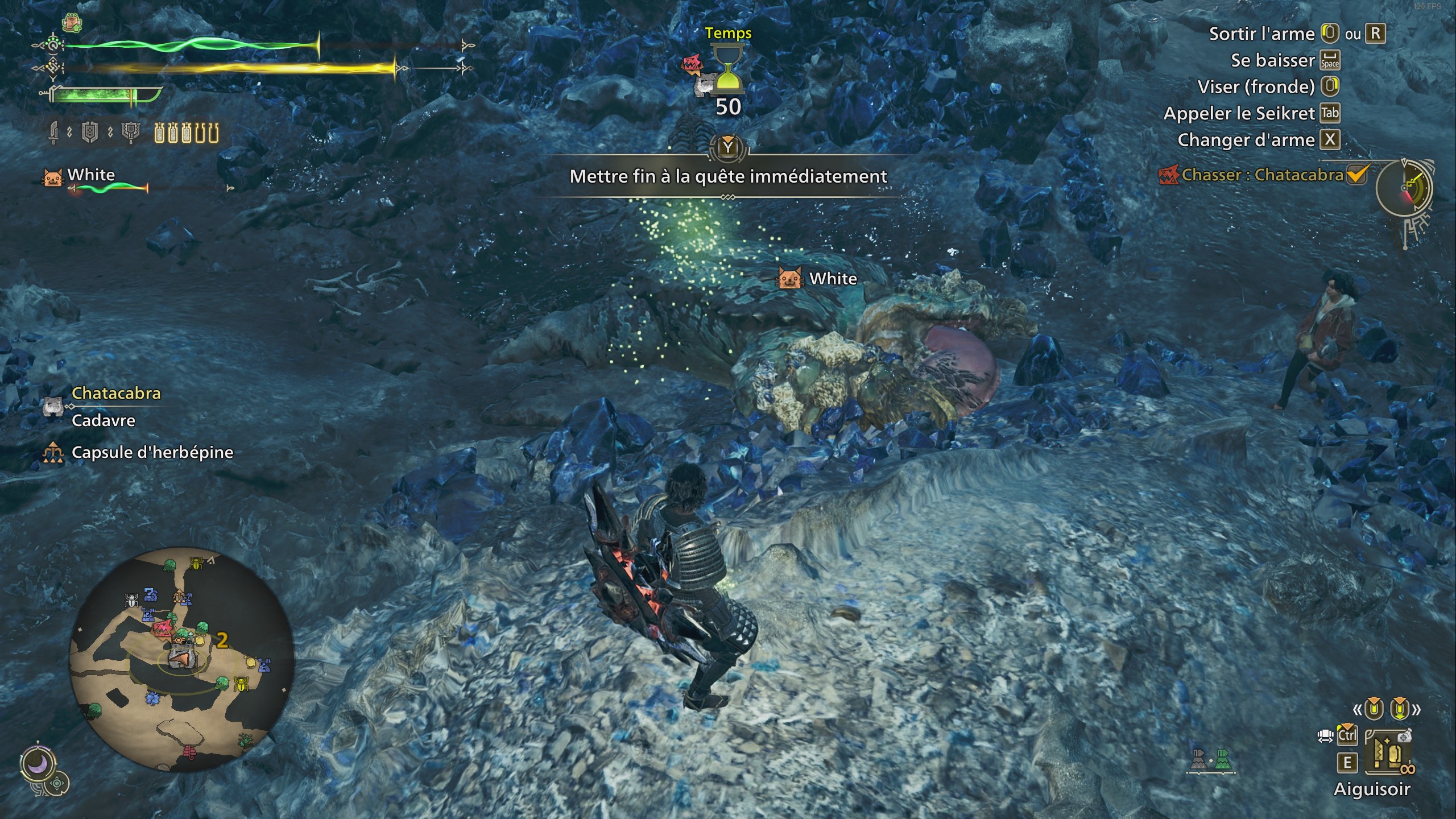 monster-hunter-wilds-meilleur-build-volto-hache-combat