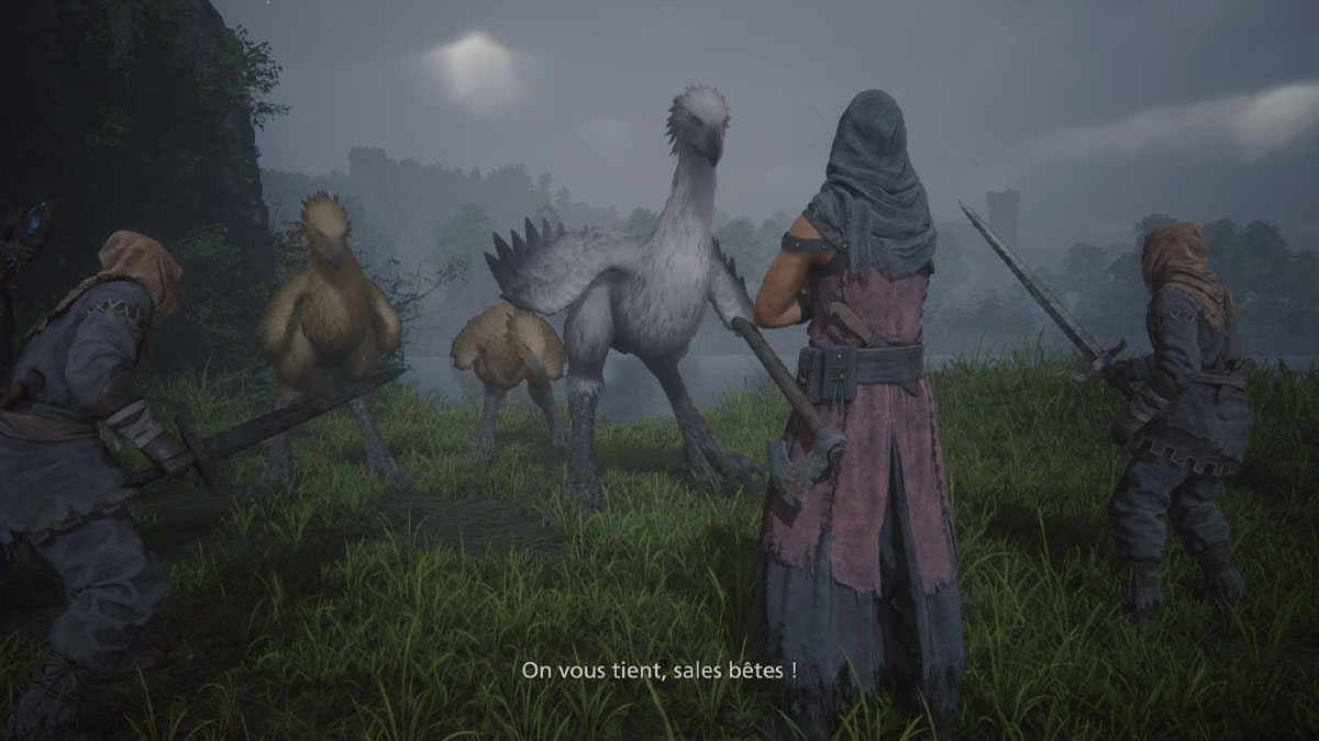 monture-chocobo