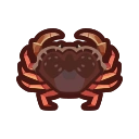 crabe-de-dungeness-animal-crossing