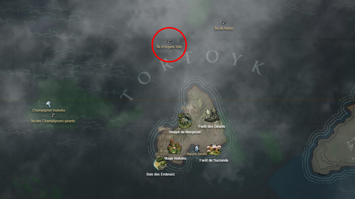 emplacement-ile-argent-toto