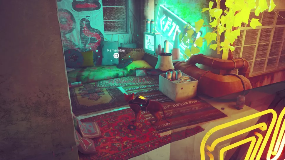 souvenir-stray-centre-ville-4