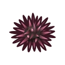 oursin-animal-crossing