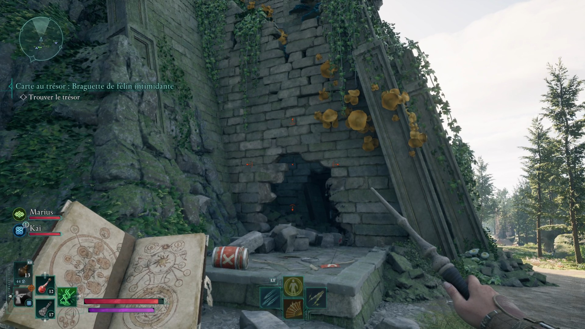 avowed-cache-pargrune-rivaube-mur-destructible