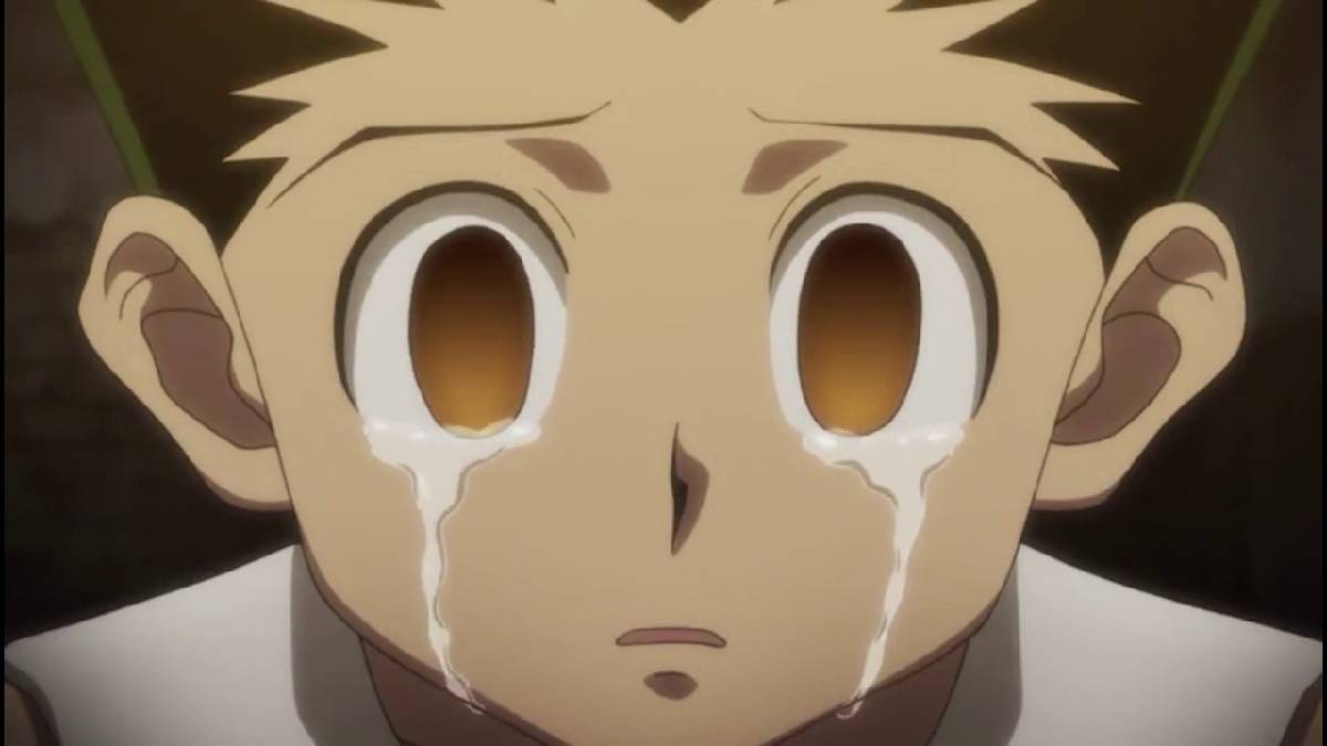 hunter-x-hunter-pause