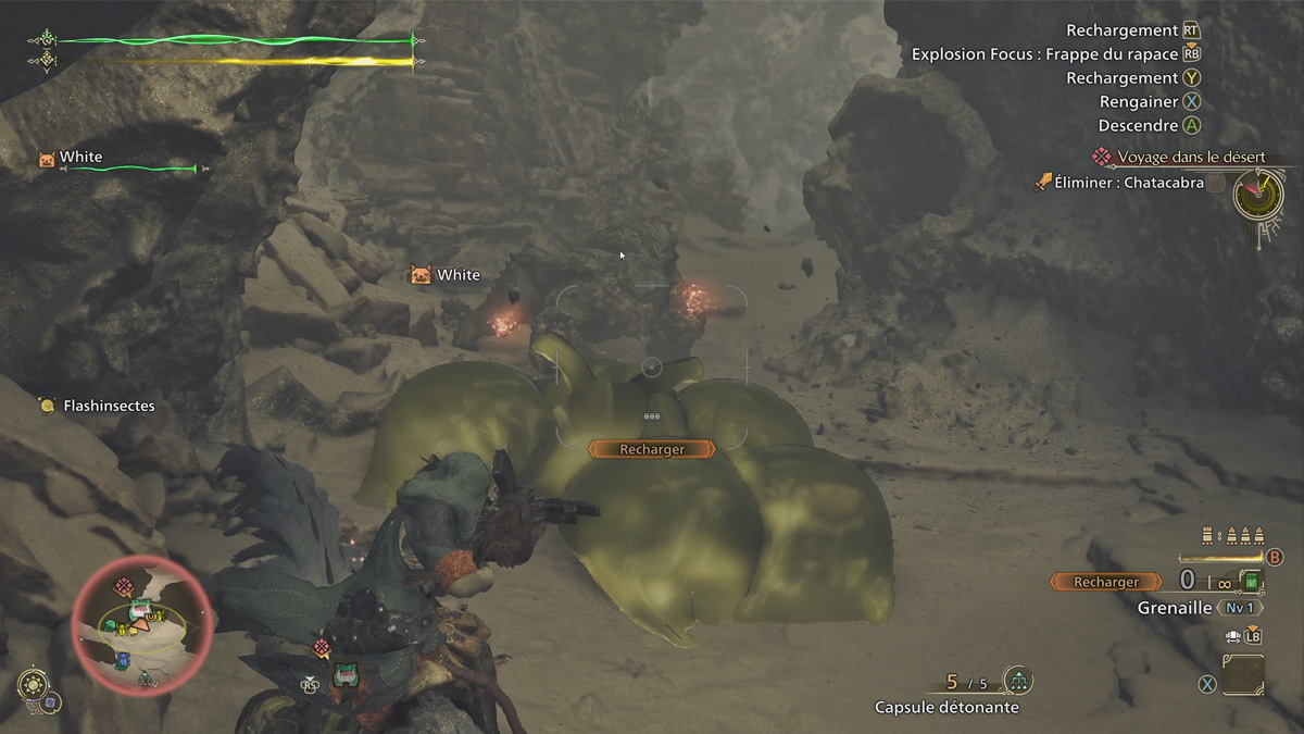 vignette-monster-hunter-wilds-mode-arachnophobe-aracnophobia