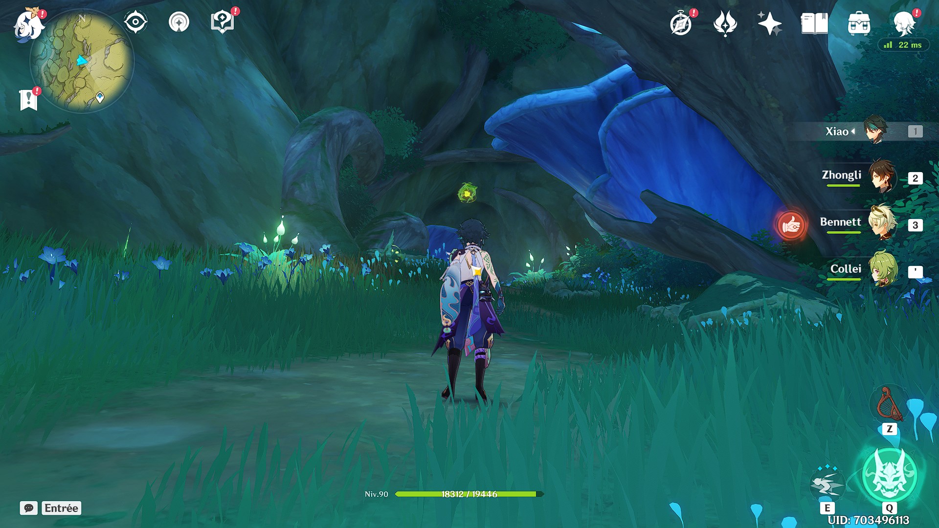 entree-grotte-arbre-foudroye