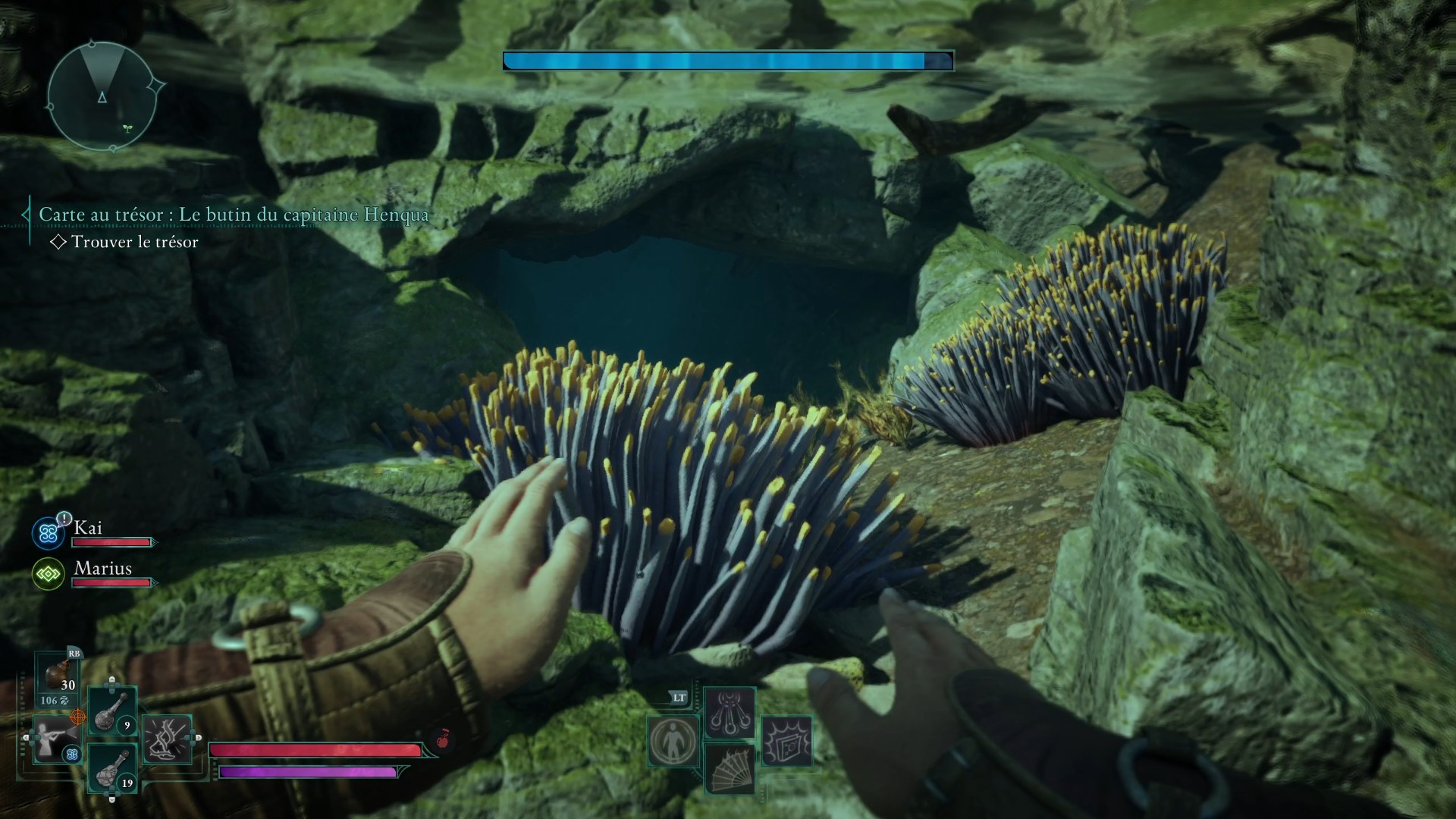 avowed-le-butin-du-capitaine-henqua-grotte