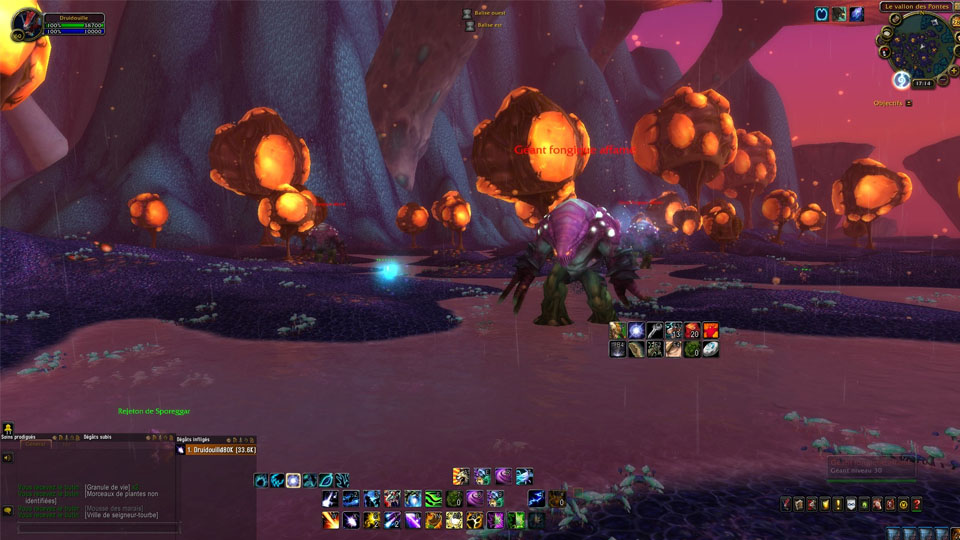 granule-de-vie-wow-tbc-burning-crusade-vie-primordiale-mob