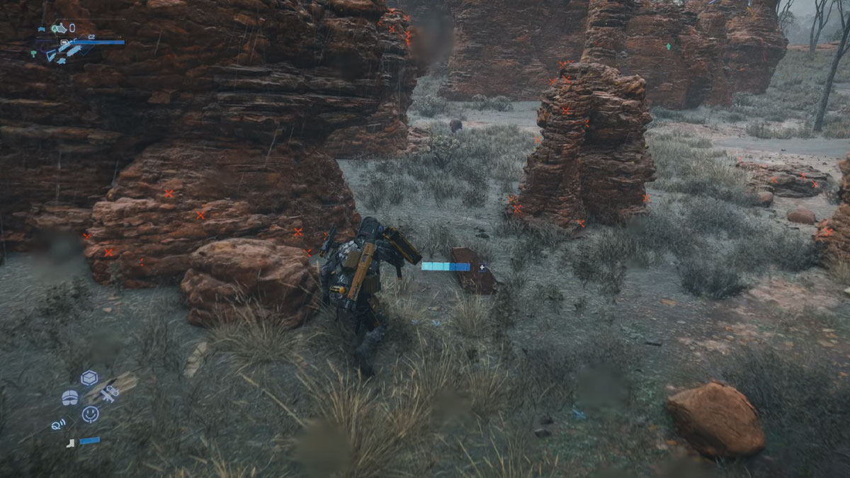 comment-capturer-emeu