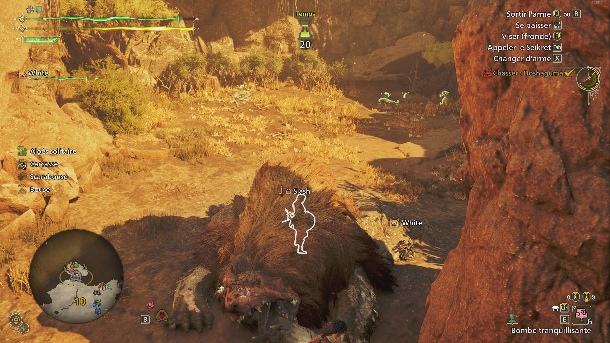 monster-hunter-wilds-monstre-endormi