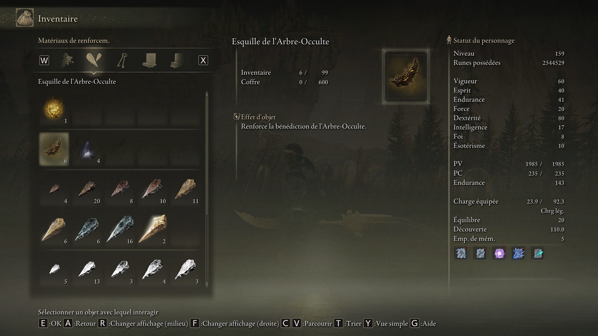 esquilles-de-larbre-occulte