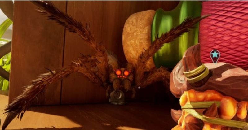 grounded-2-wolf-spider