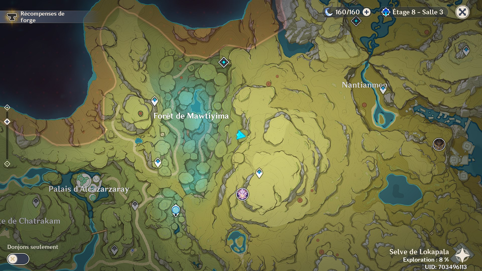 emplacement-entree-grotte-arbre-foudroye