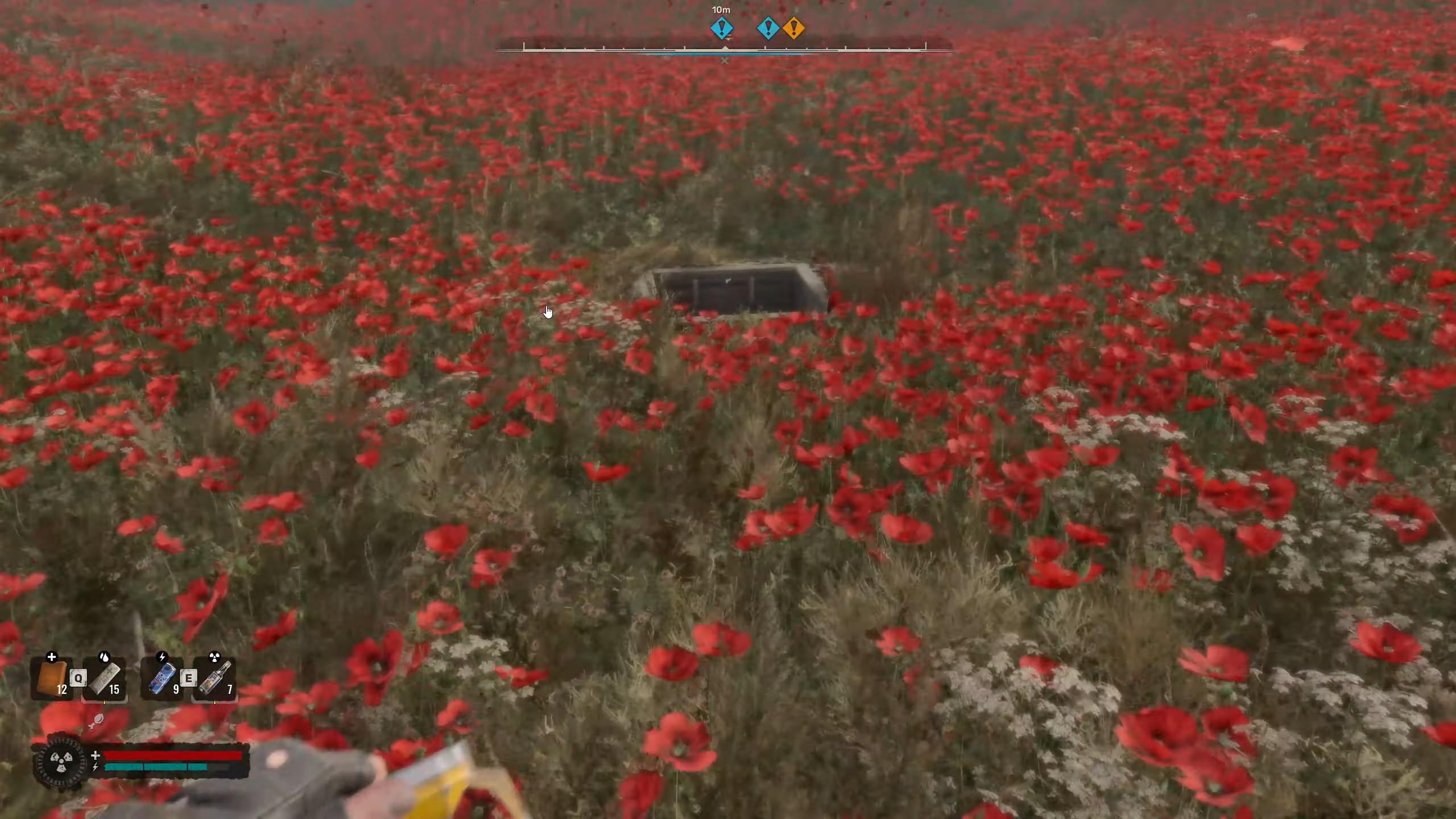 stalker-2-cave-champ-de-coquelicots
