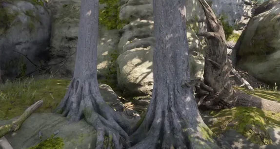 emplacement-tresor-2-arbre