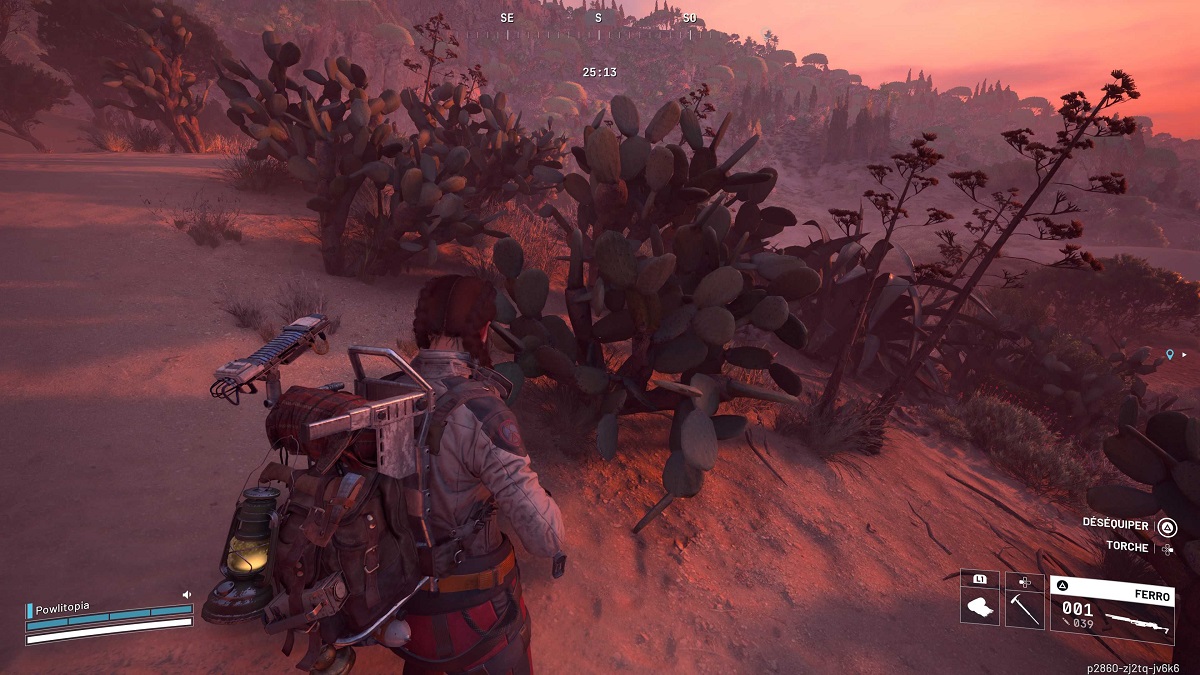 arc-raiders-cactus-figue-de-barbarie