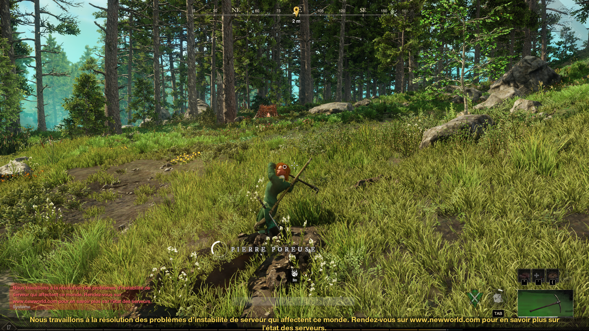 huile-de-roche-new-world