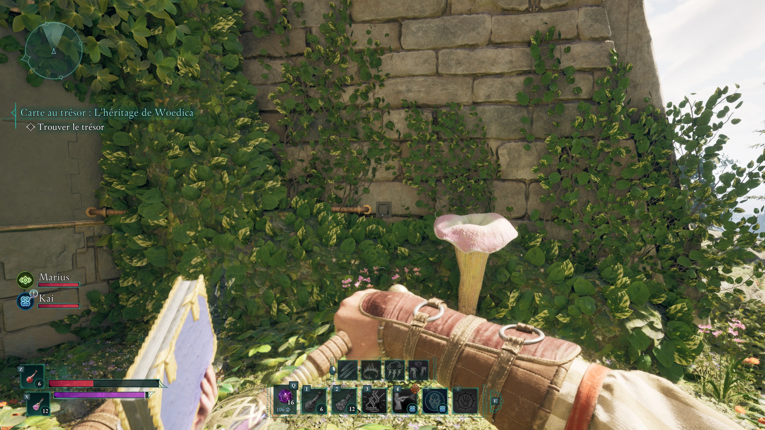 avowed-carte-au-tresor-heritage-de-woedica-interrupteur