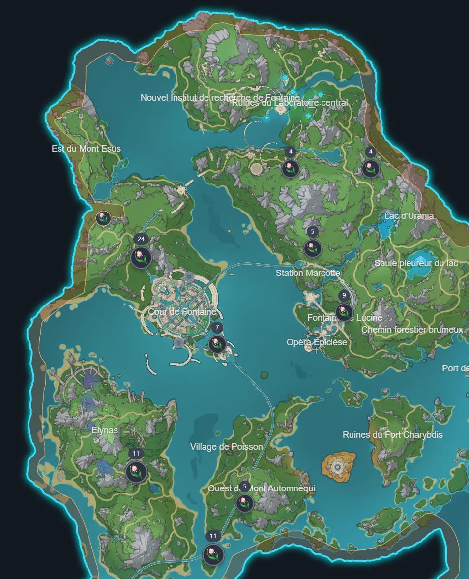 rose-arc-en-ciel-map