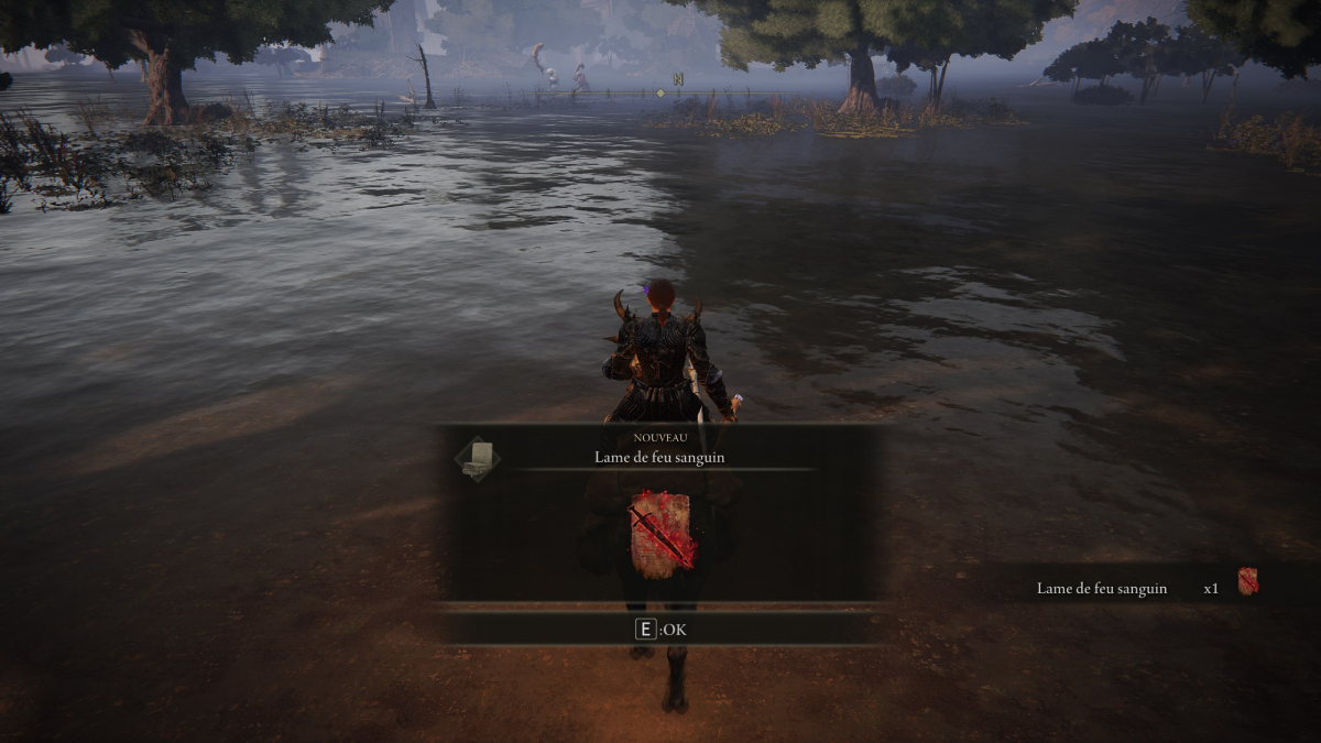 elden-ring-dlc-lame-de-feu-sanguin