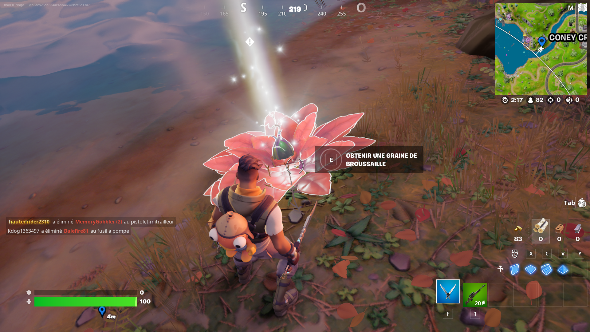 plante-graine-de-broussaille