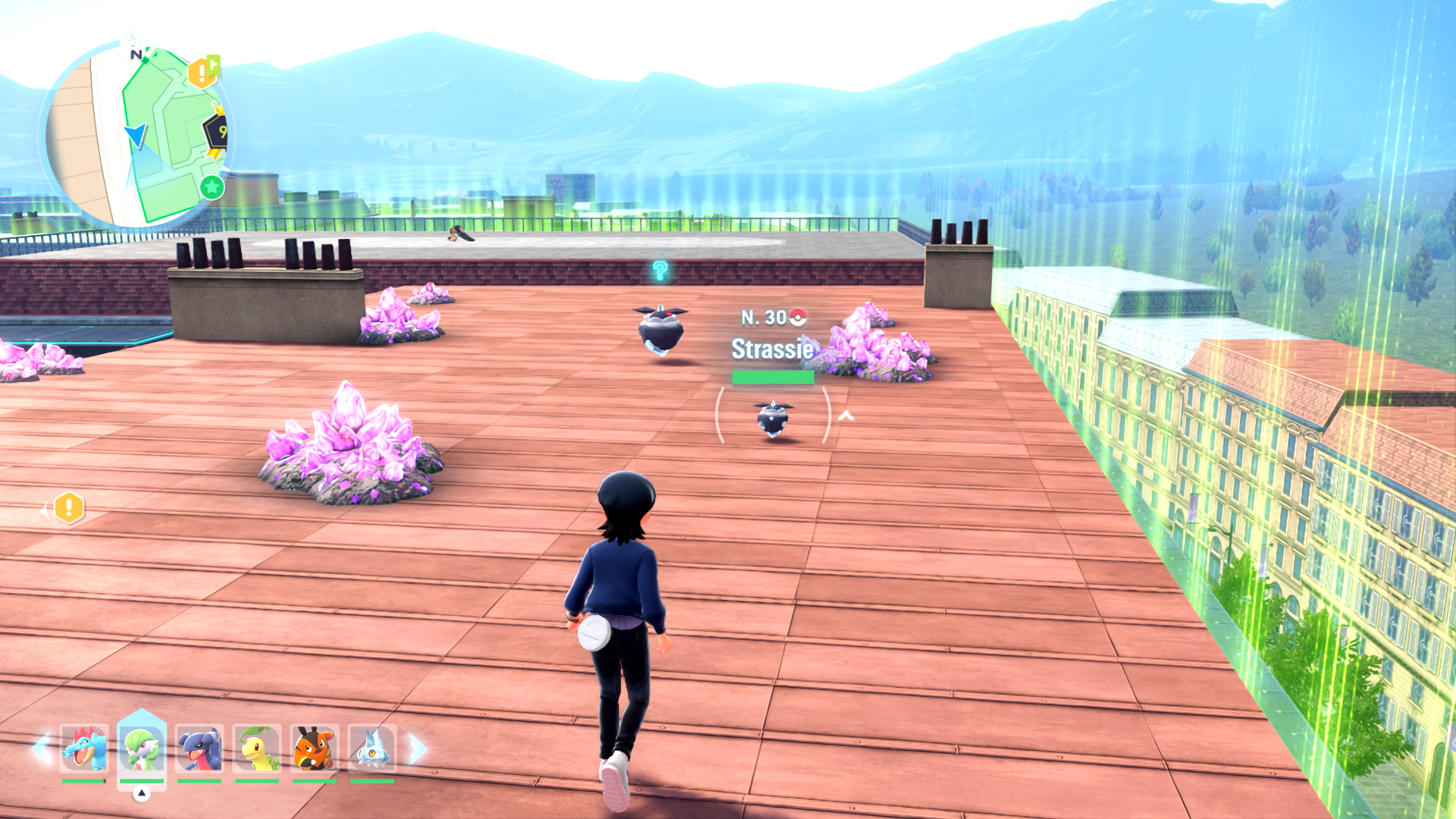 zone-sauvage-9-strassie