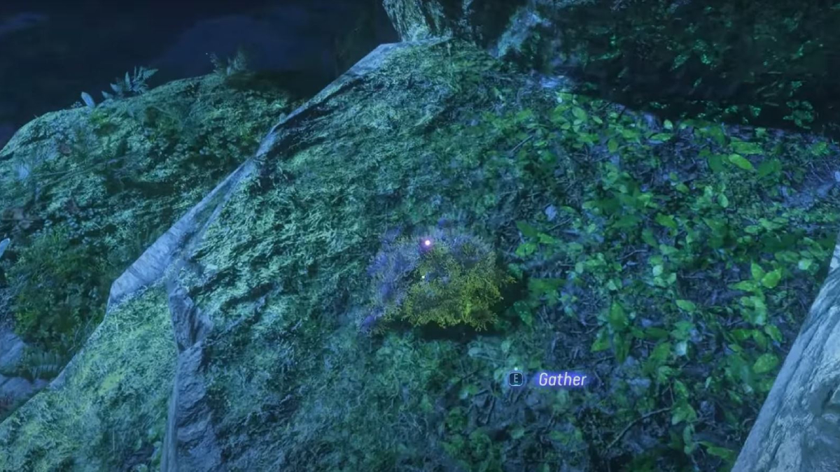 mousse-meurtrie-avatar-frontiers-of-pandora