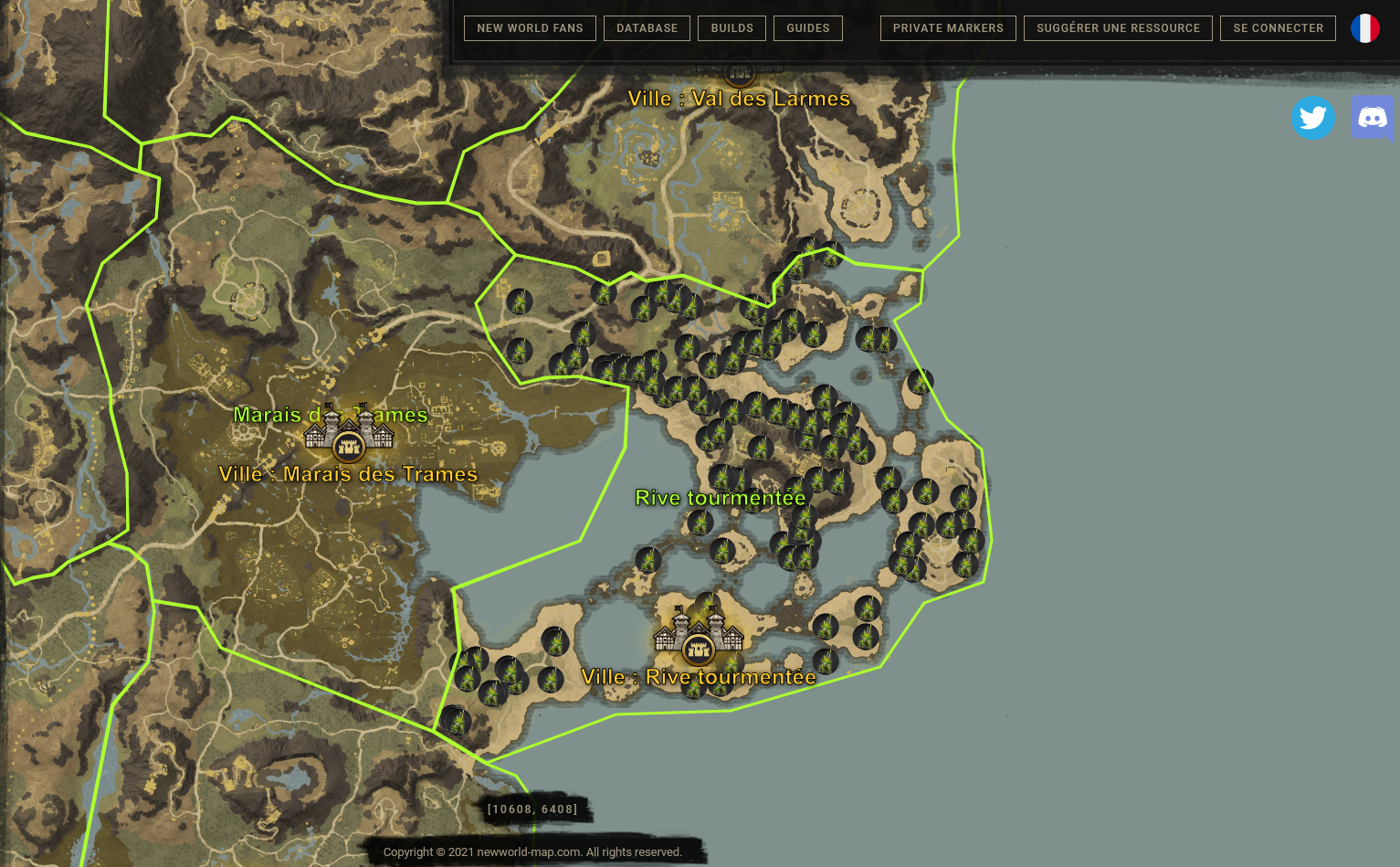 bolet-a-pointe-new-world