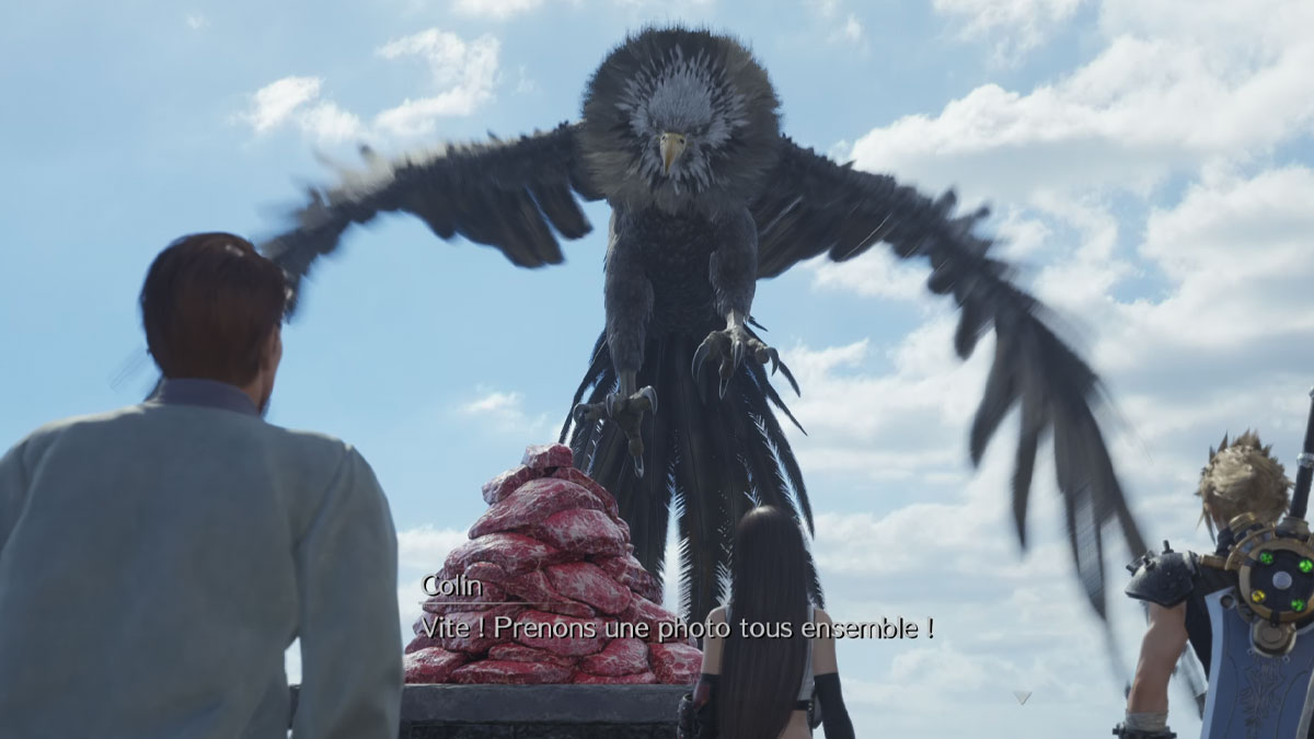 condor-junon-photo-quete-nourriture-donner-choix-quete-consequence