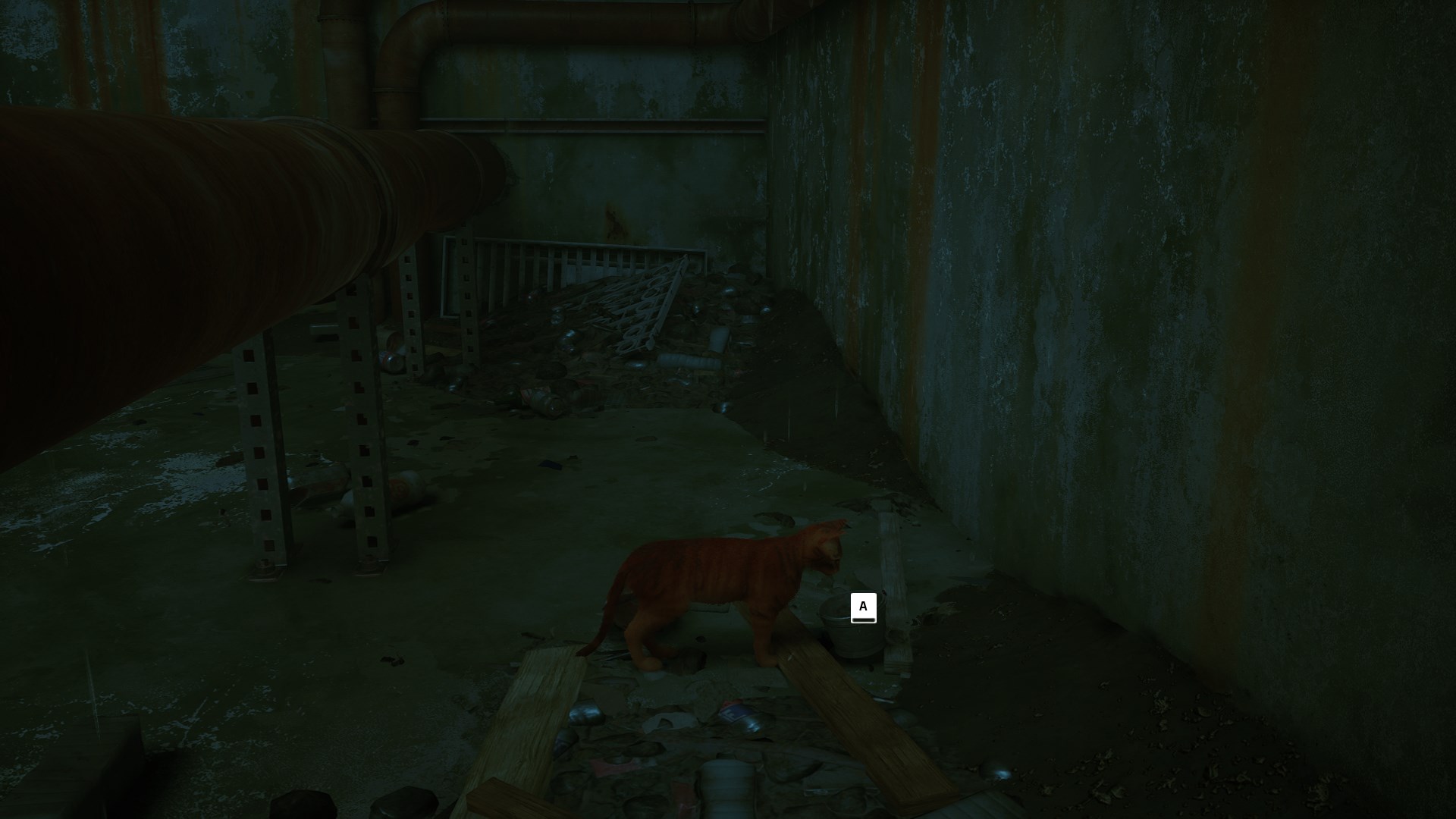 stray-seaux-enigme-resoudre-1