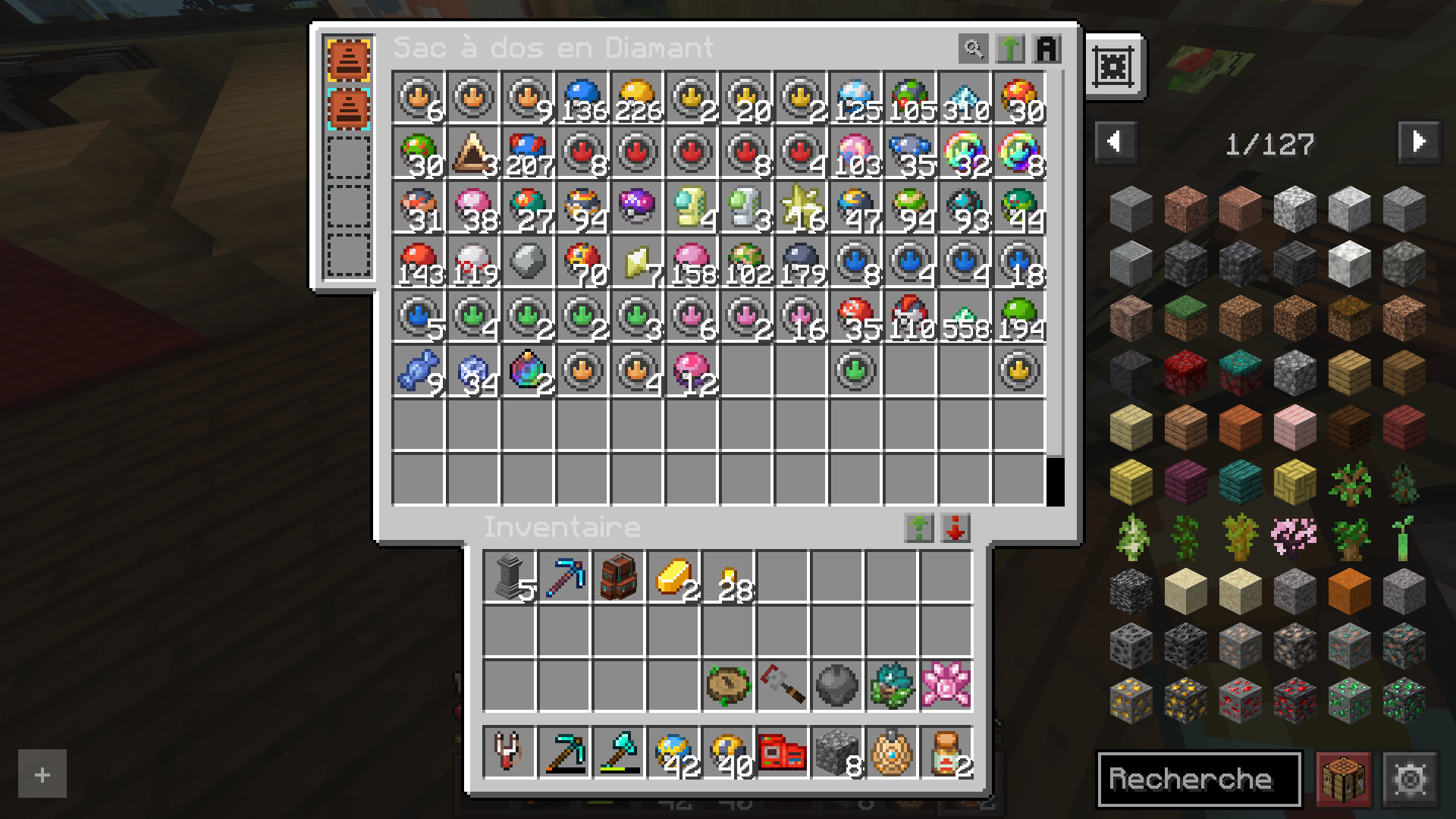 comment-agrandir-son-sac-cobblemon-star-academy