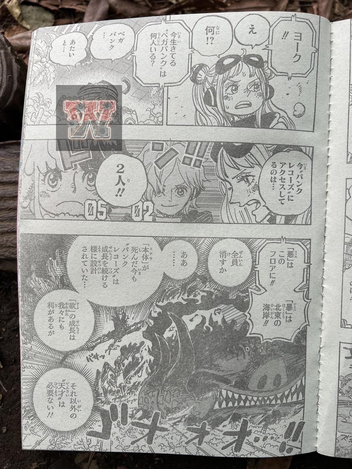 one-piece-spoilers-1118-raw