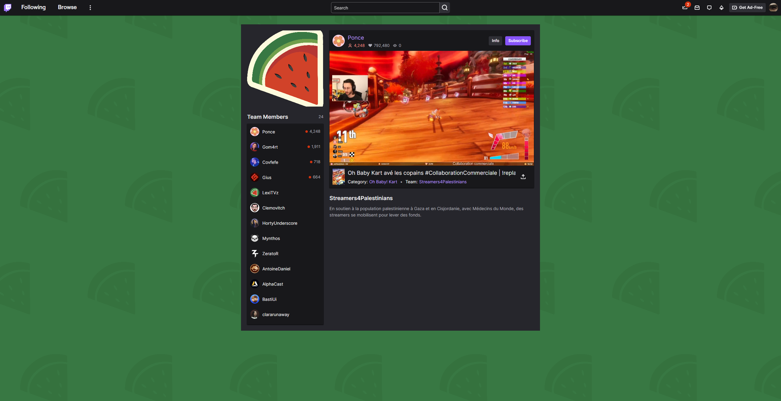 streamer4palestinian