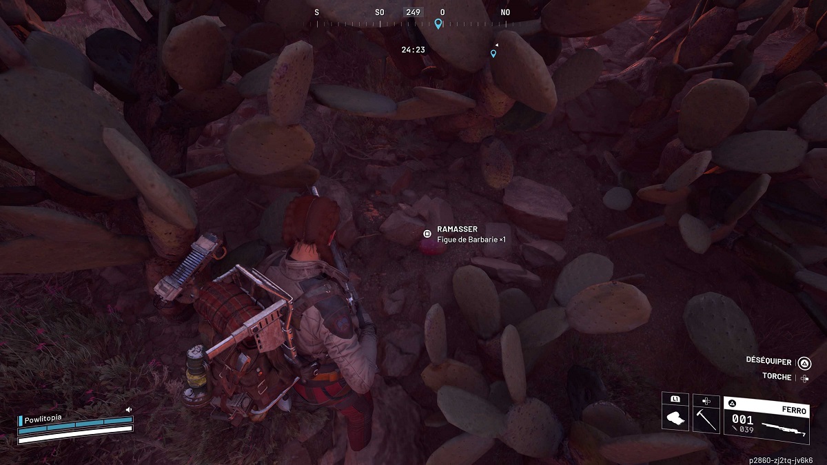 arc-raiders-figue-de-barbarie