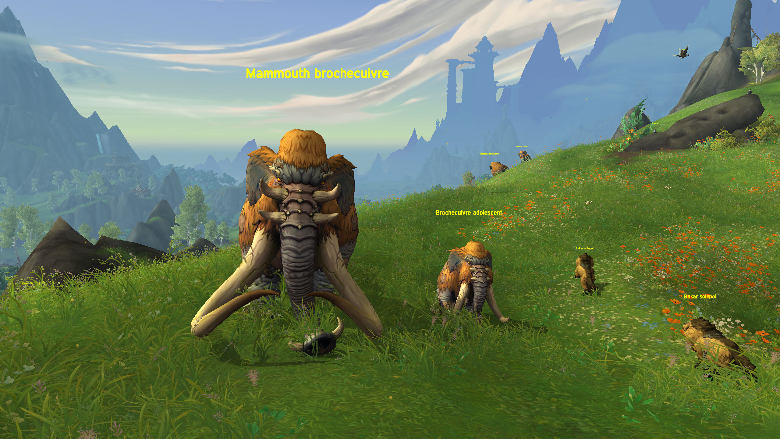 Mammouth-Dragonflight