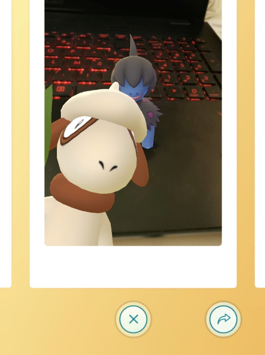 142684705_1041082946371797_7906937595840924095_n