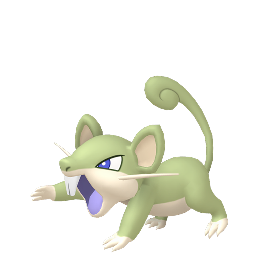 Rattata-shiny