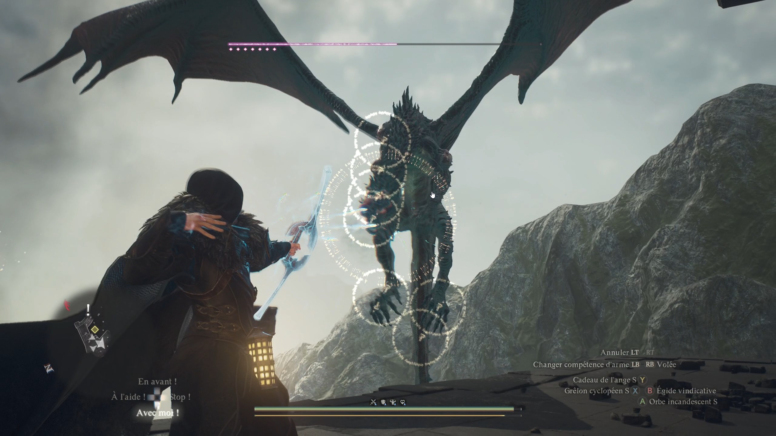 dd2-chevalier-mage-combat