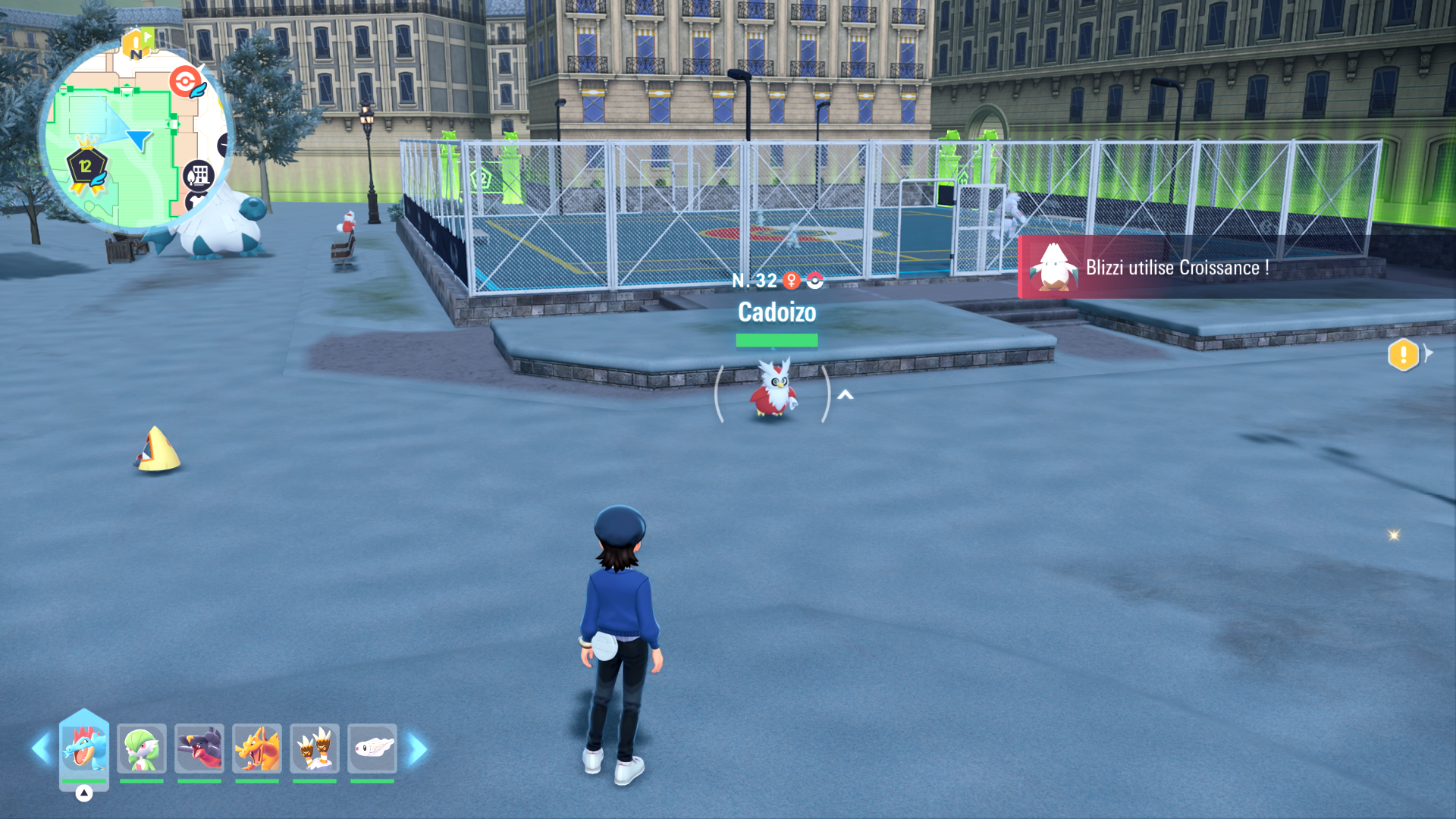 zone-sauvage-12-cadoizo