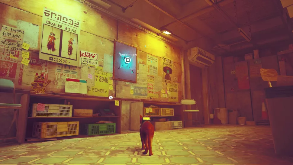 souvenir-stray-centre-ville-10