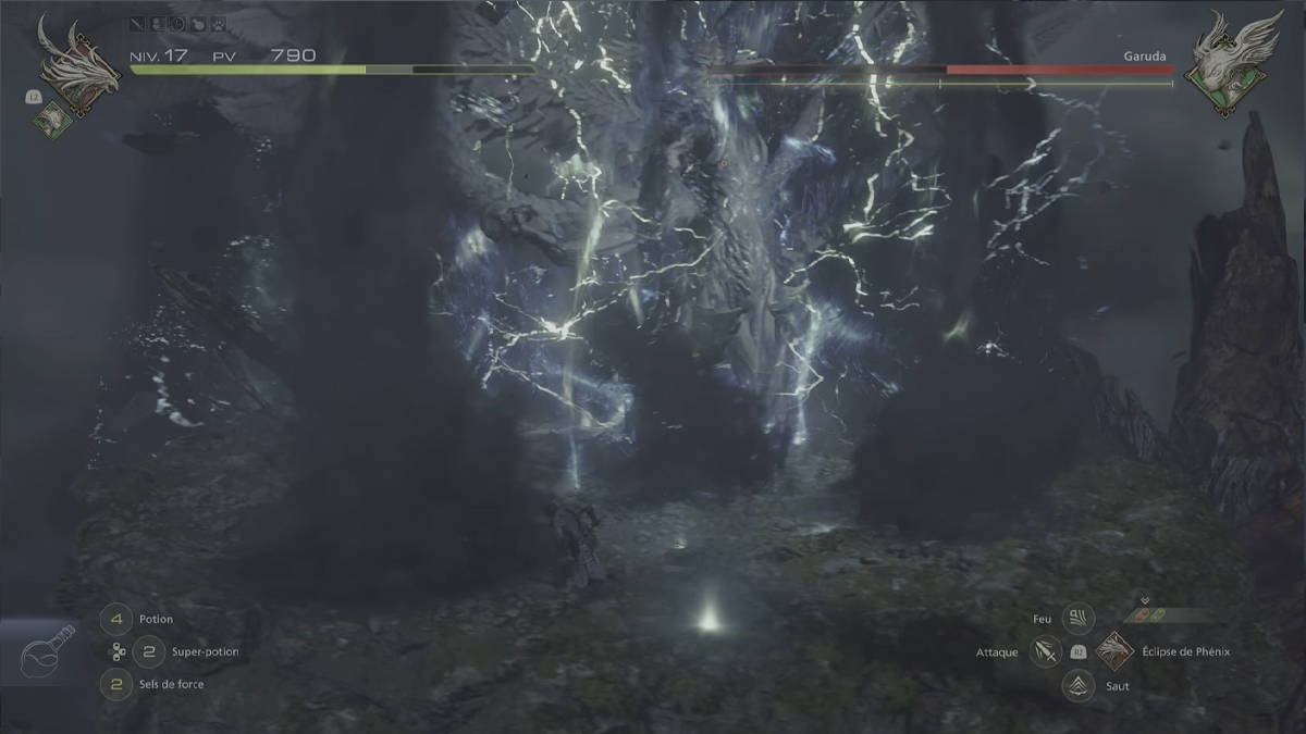 rafale-aerienne-boss-garuda