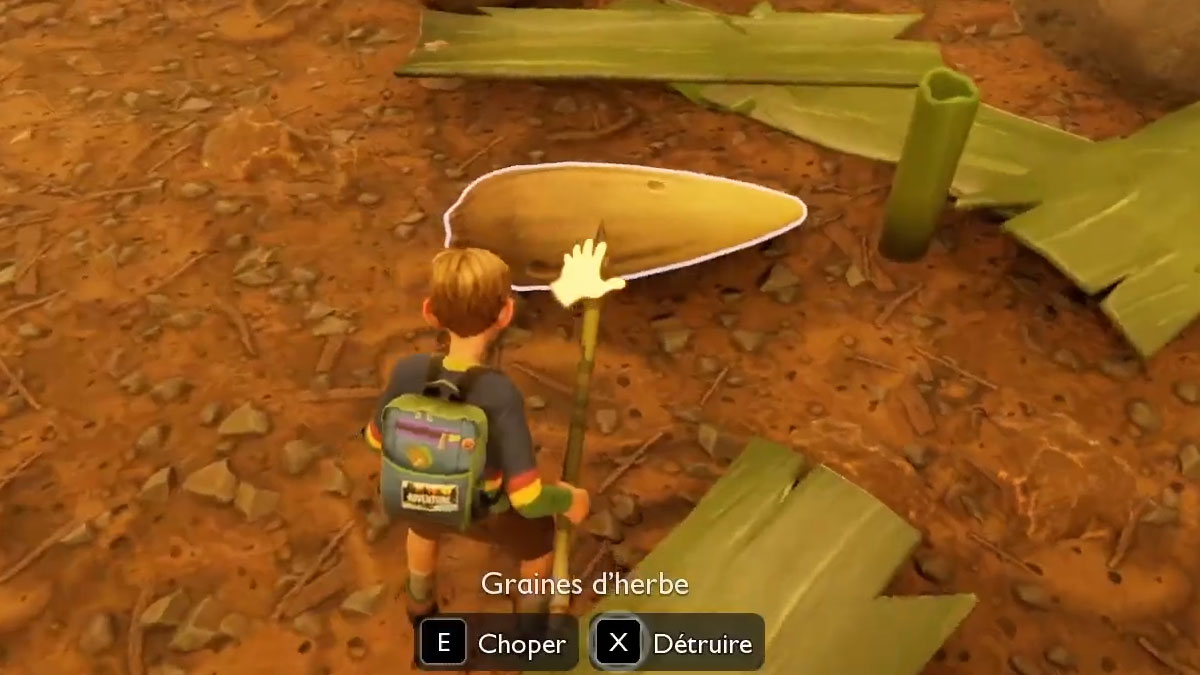 graine-herbe-grounded-2