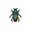 insecte-animal-crossing-new-horizons