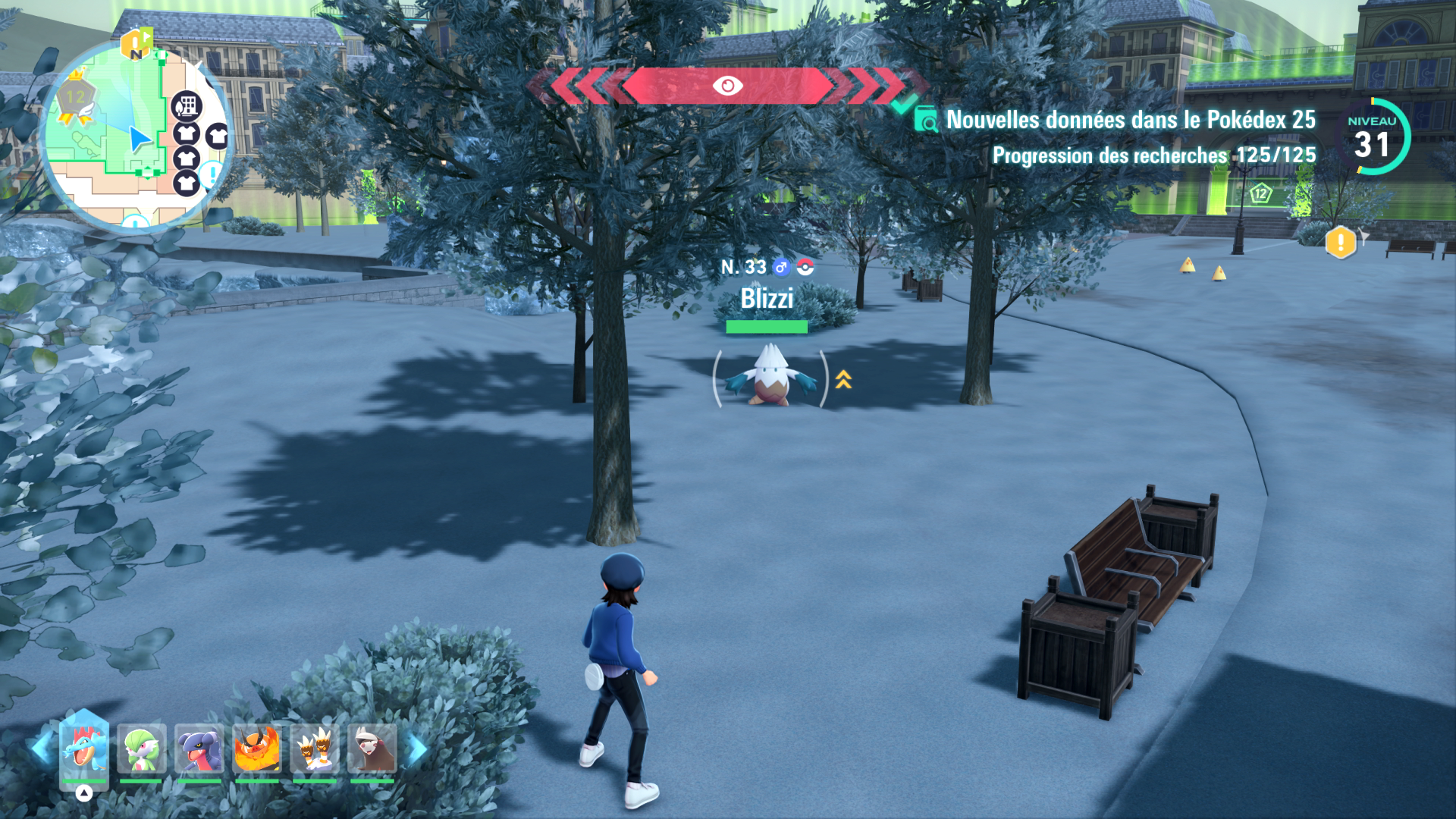 zone-sauvage-12-blizzi