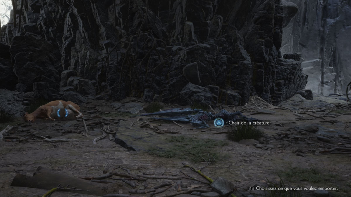 nourriture-choisir-condor-junon-ff7-rebirth