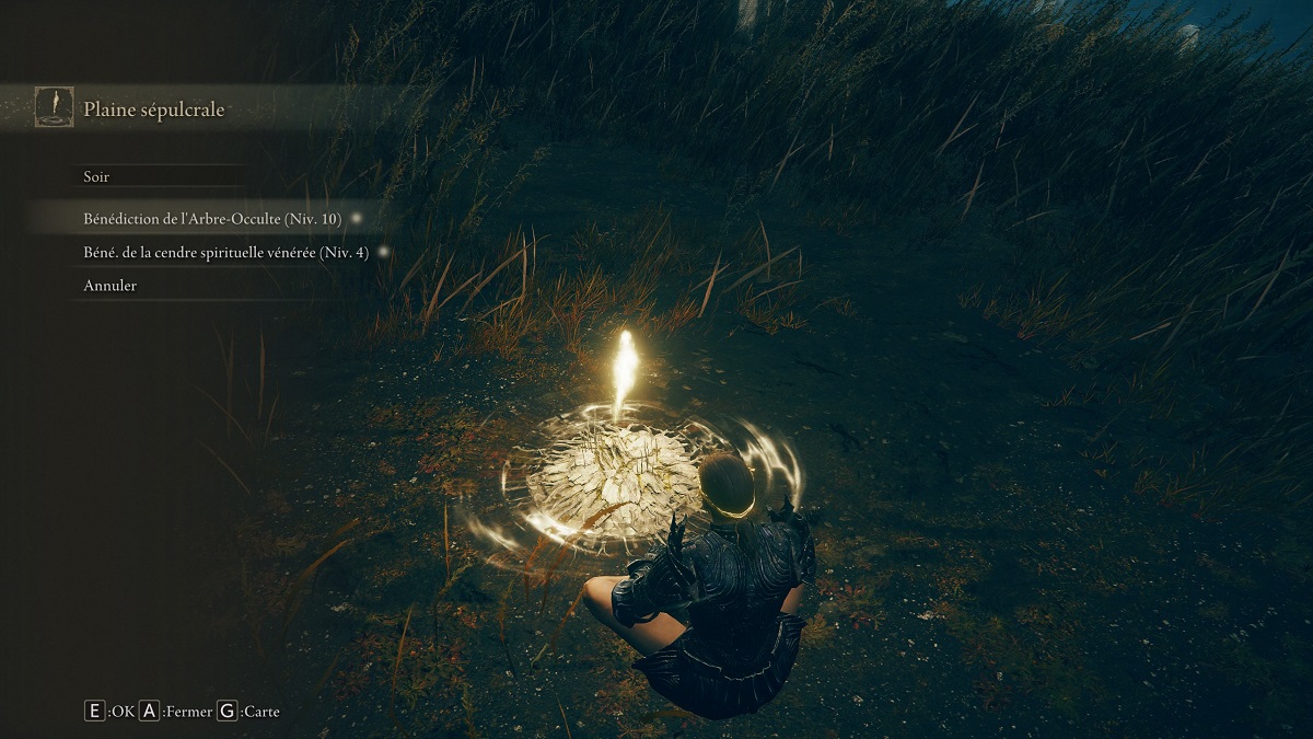 benediction-de-larbre-occulte